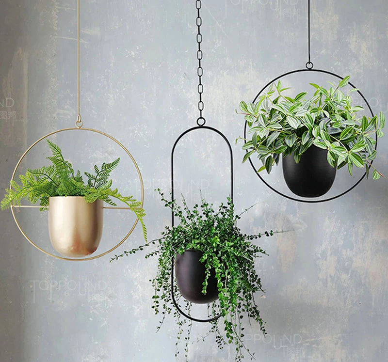 Hanging Planters for Indoor & Outdoor Plant with 6" Pot (Detachable) + Hook Hanging Plant Holder, Plant Hanger, MID Century & Minimalist Planter Modern Home